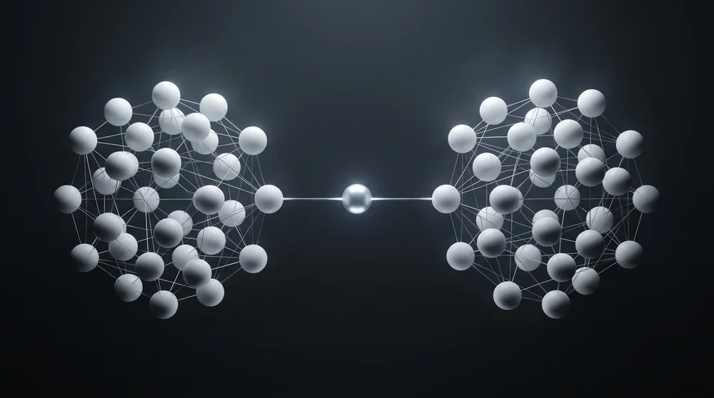 Wide panoramic monochrome-contrast network diagram showing clusters of nodes with a highlighted ‘bridge’ node connecting two 